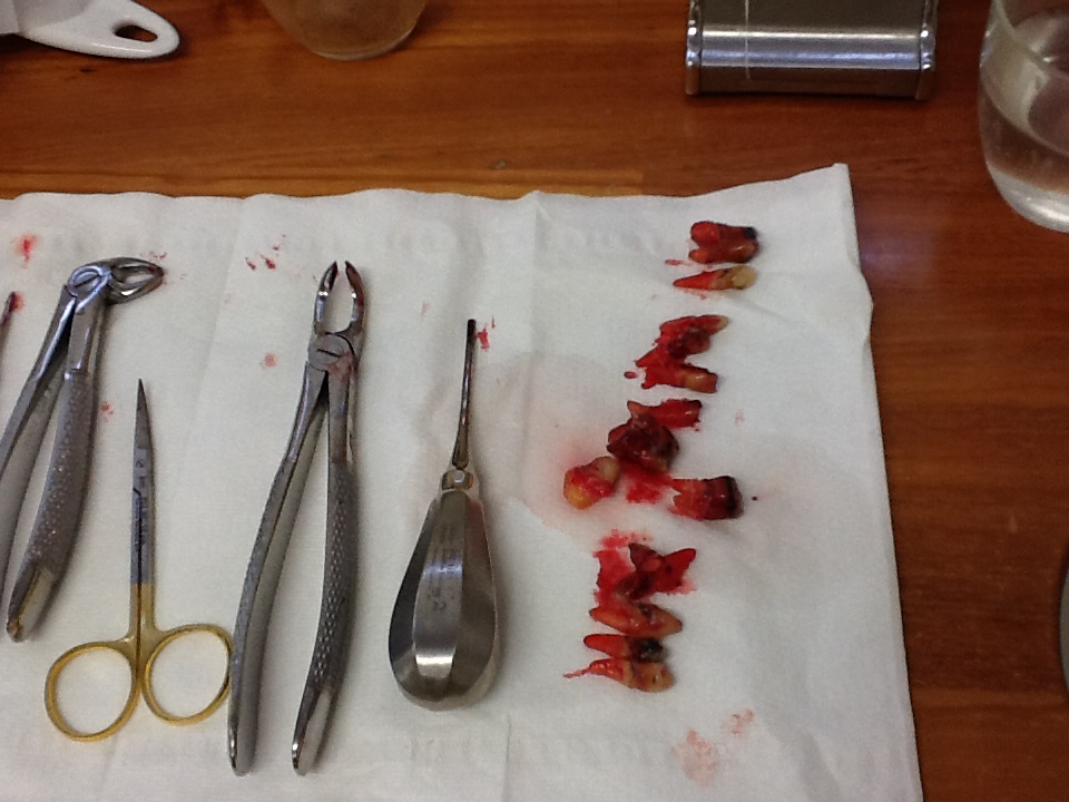 Ipad Marianne 232.JPG